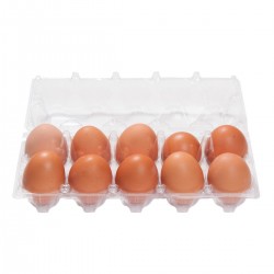 Куриные яйца 10 шт.